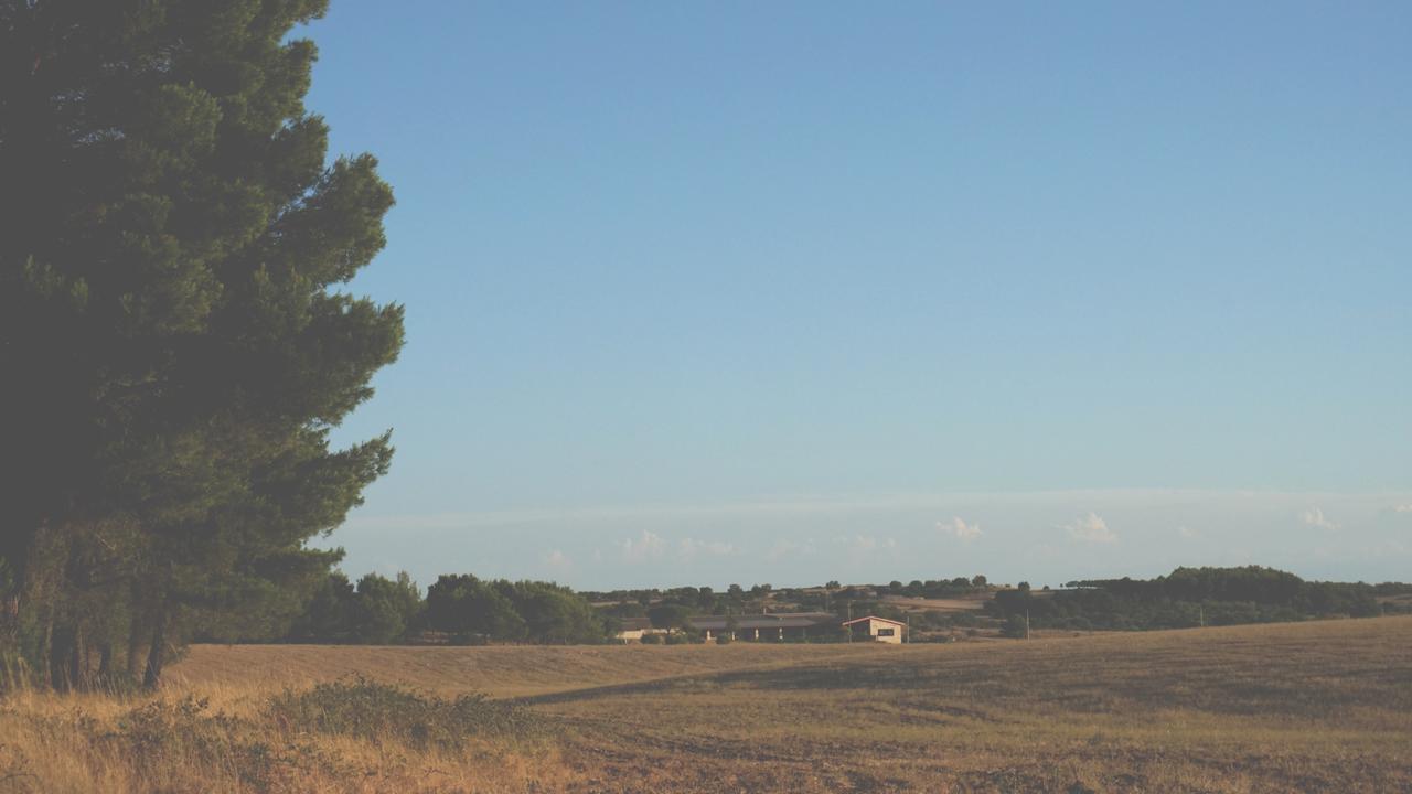 אלטאמורה Masseria Chinunno מראה חיצוני תמונה