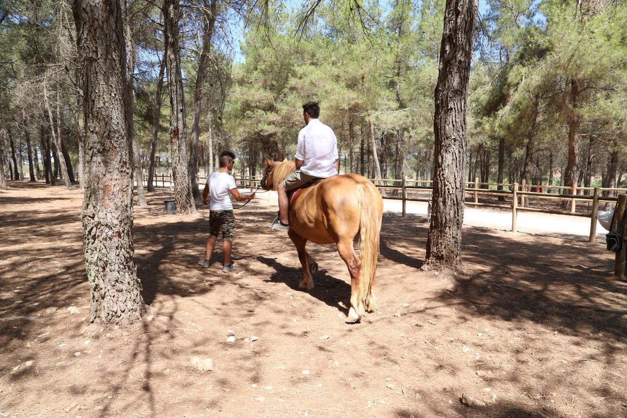 אלטאמורה Masseria Chinunno מראה חיצוני תמונה
